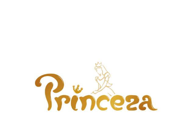 Čoko Princeza Logo